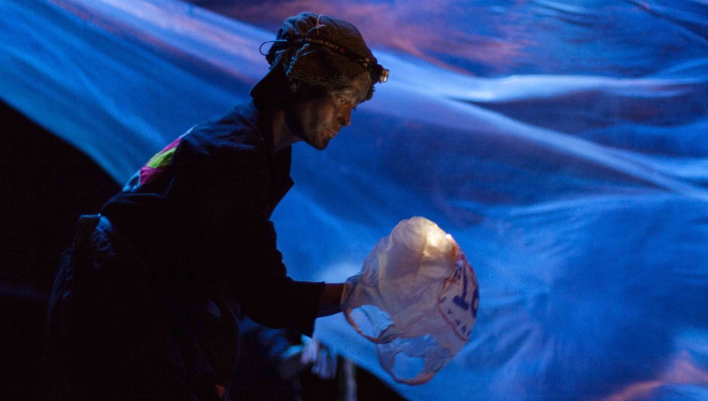 lex and jellyfish bag